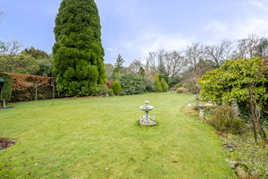 Photo 17- click for photo gallery